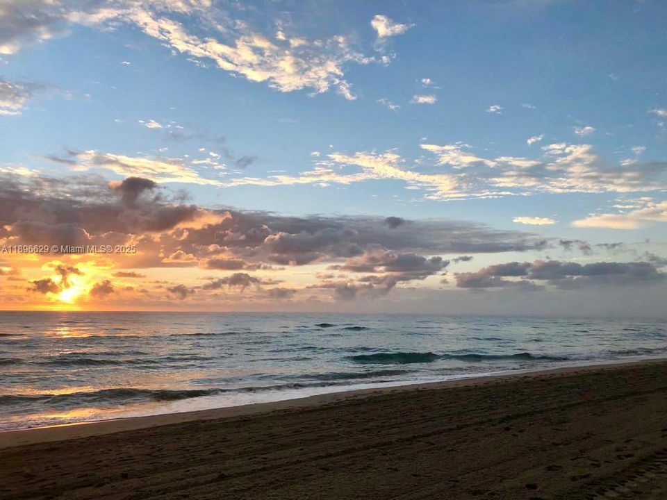 出租: $6,500 (3 贝兹, 3 浴室, 1571 平方英尺)