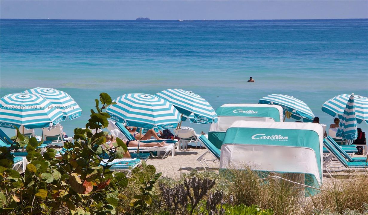 En Renta: $9,500 (2 camas, 2 baños, 1280 Pies cuadrados)