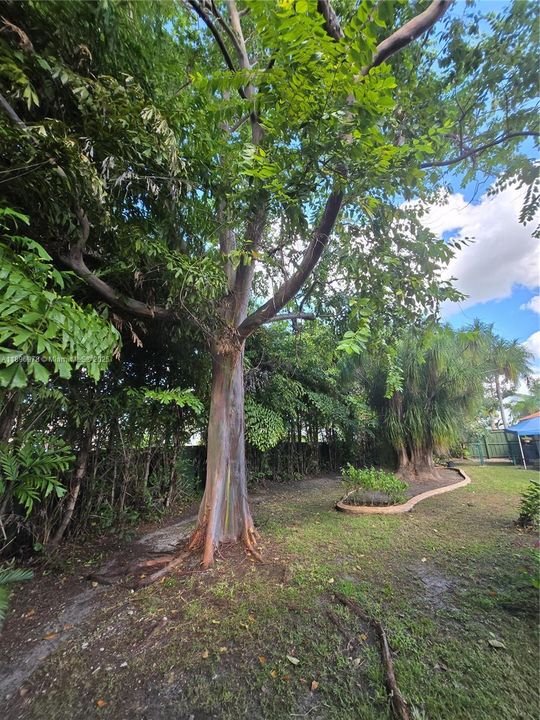 Active With Contract: $920,000 (5 beds, 3 baths, 3038 Square Feet)