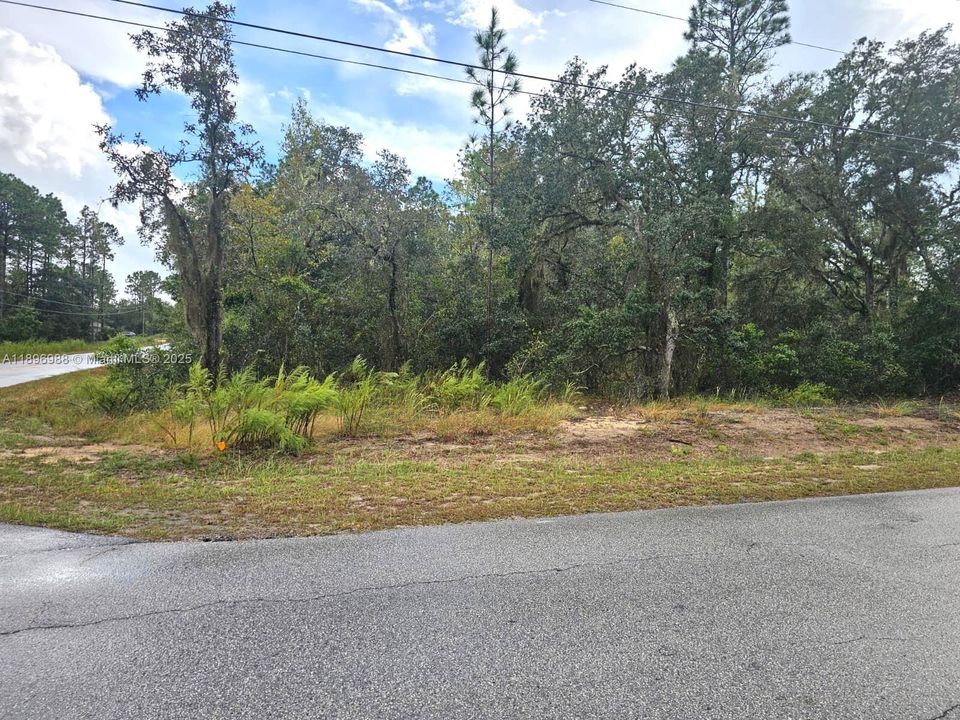 En Venta: $18,900 (0.51 acres)