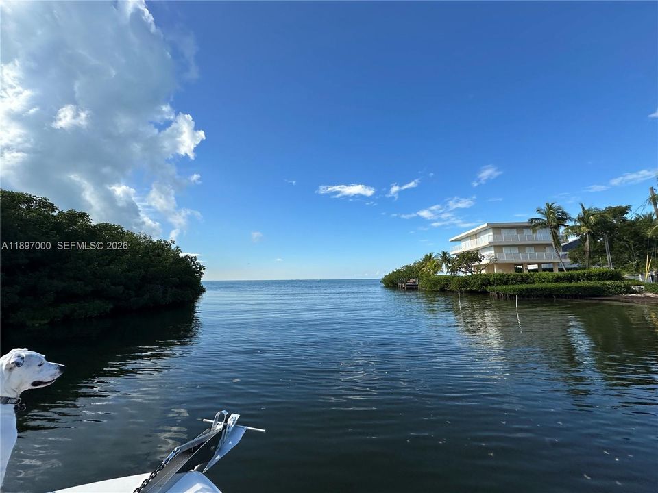 For Sale: $1,599,000 (4 beds, 2 baths, 1680 Square Feet)