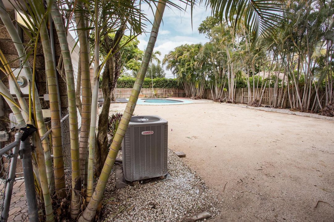 Back Yard 3