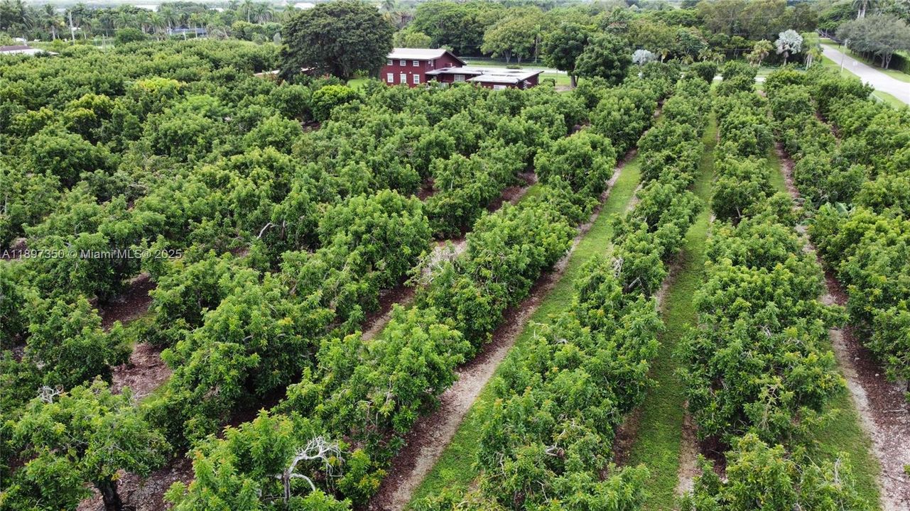 For Rent: $4,950 (3 beds, 3 baths, 3325 Square Feet)