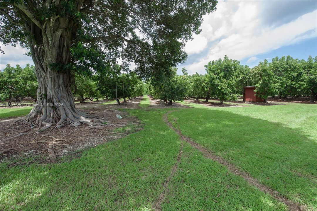 For Rent: $4,950 (3 beds, 3 baths, 3325 Square Feet)