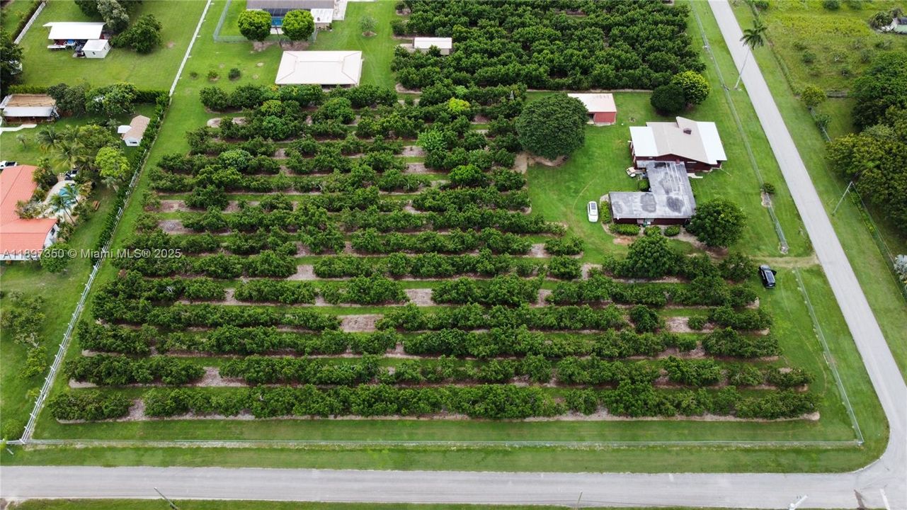 For Rent: $4,950 (3 beds, 3 baths, 3325 Square Feet)