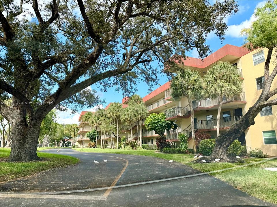 待售: $239,900 (2 贝兹, 2 浴室, 1002 平方英尺)