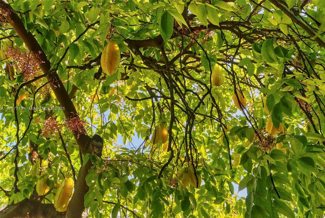 For Sale: $795,000 (3 beds, 2 baths, 1603 Square Feet)