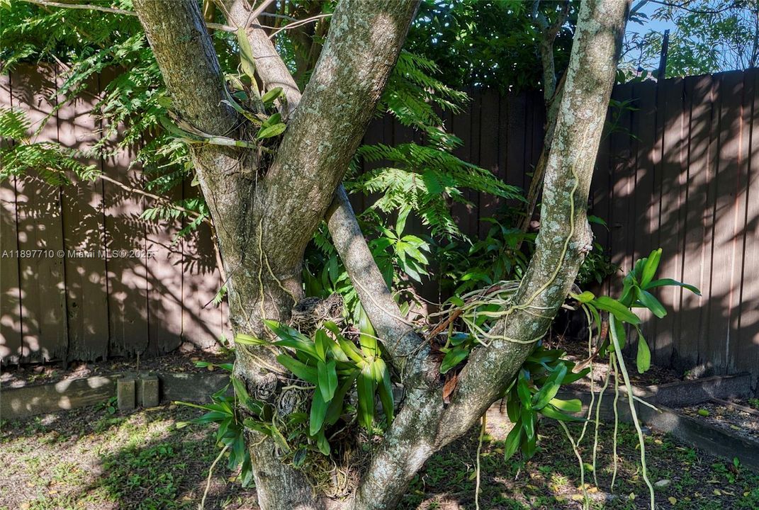 For Sale: $795,000 (3 beds, 2 baths, 1603 Square Feet)