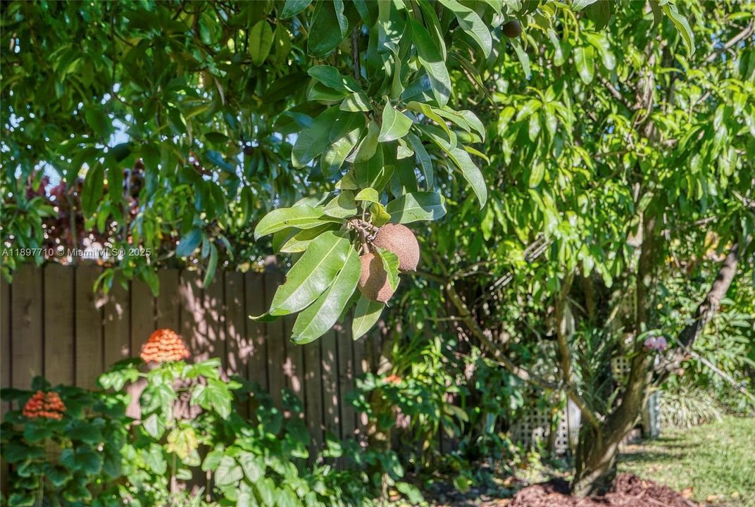 For Sale: $795,000 (3 beds, 2 baths, 1603 Square Feet)