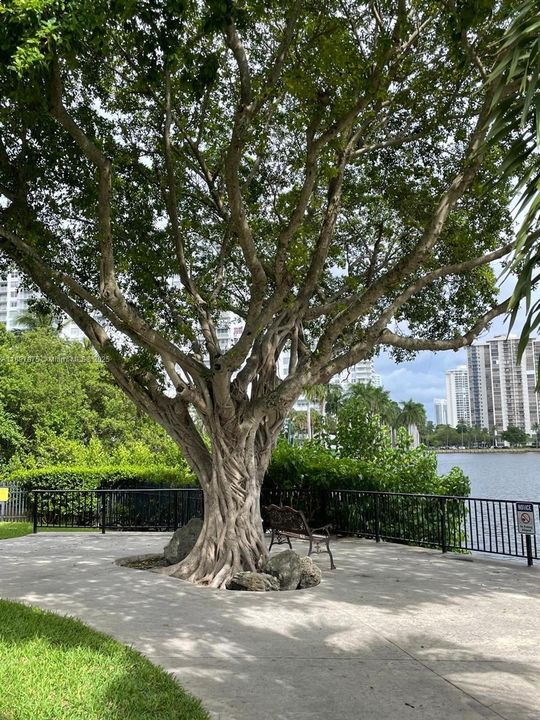 Active With Contract: $2,450 (2 beds, 2 baths, 1232 Square Feet)