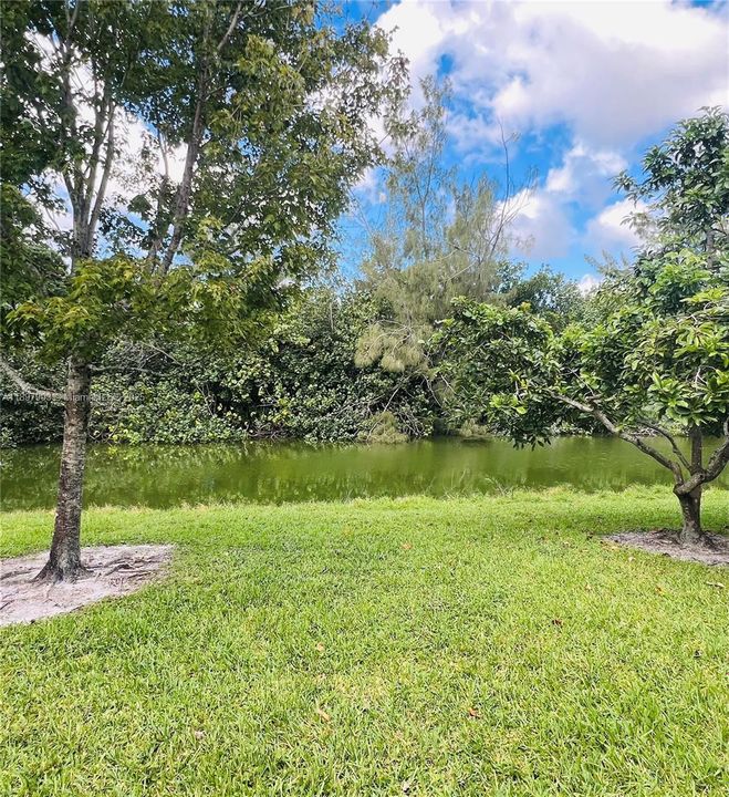 Под контрактом: $1,300 (1 спален, 1 ванн, 585 Квадратных фут)