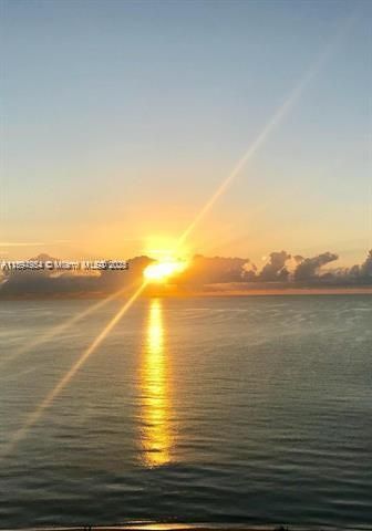 Activo con contrato: $4,500 (1 camas, 1 baños, 745 Pies cuadrados)