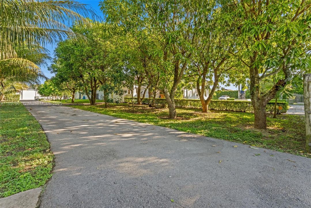 Driveway to RV Storage and Offices