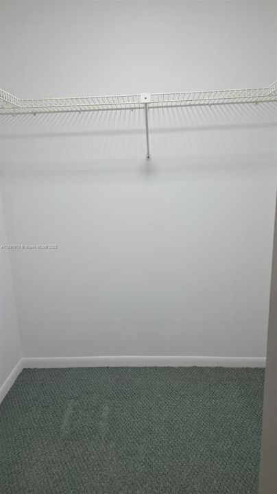 Primary bedroom with walk in closet