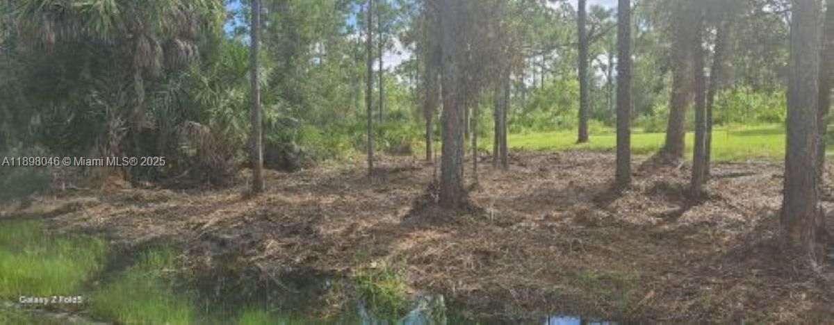 For Sale: $16,695 (0.15 acres)