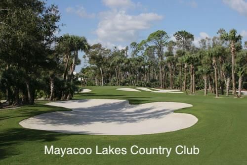 Mayacoo CC pic