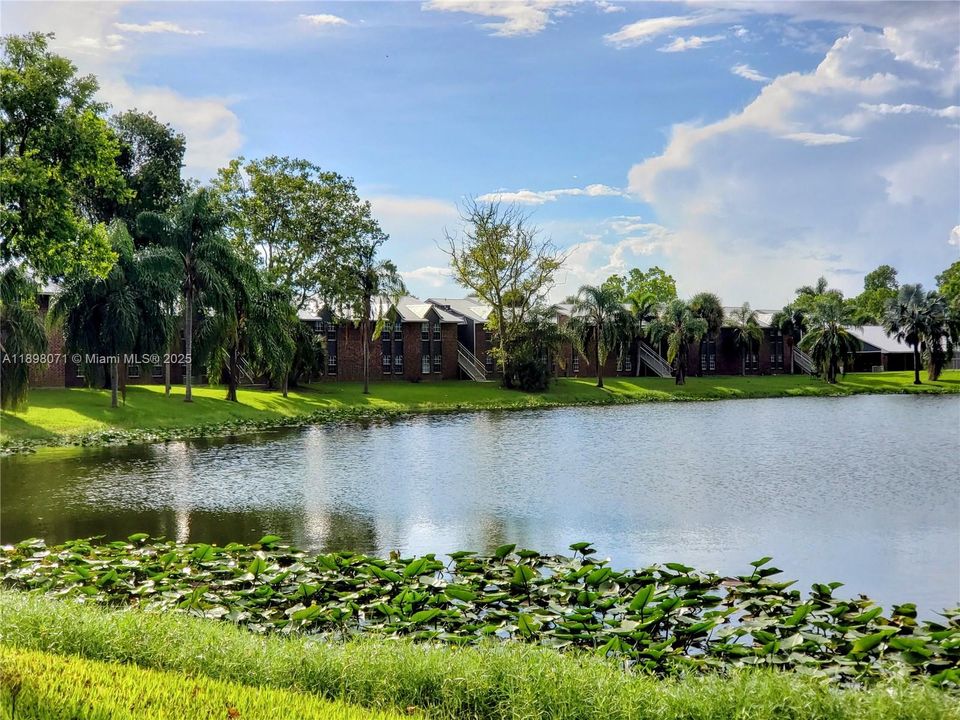 В аренду: $1,695 (3 спален, 2 ванн, 950 Квадратных фут)