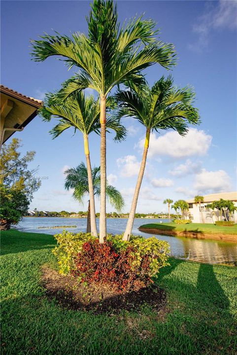 Recently Sold: $240,000 (1 beds, 1 baths, 630 Square Feet)