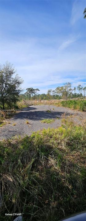 For Sale: $37,000 (0.11 acres)