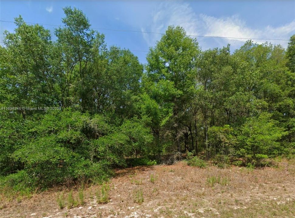 For Sale: $25,900 (0.30 acres)