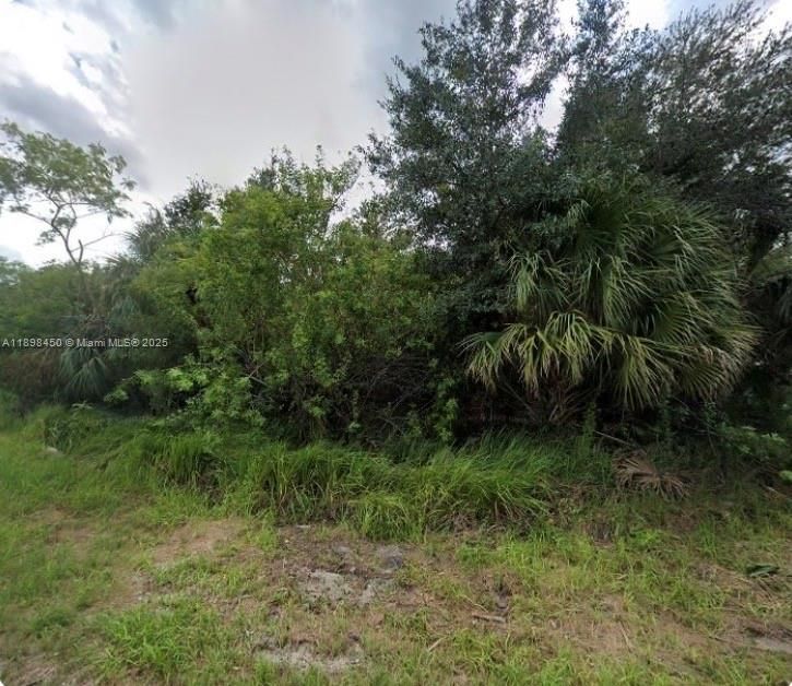 For Sale: $43,500 (16,117.00 acres)