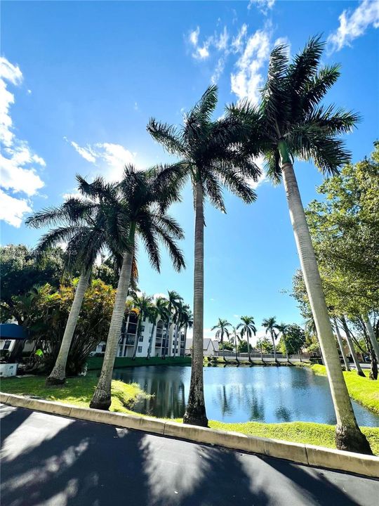 En Venta: $215,000 (2 camas, 2 baños, 1030 Pies cuadrados)