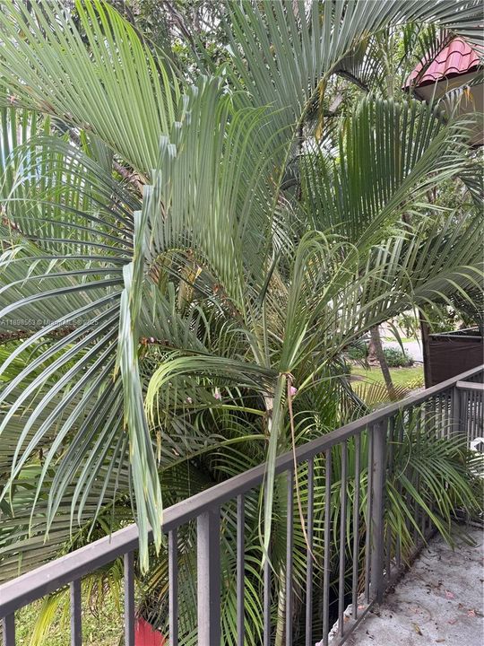 For Rent: $2,300 (2 beds, 1 baths, 890 Square Feet)