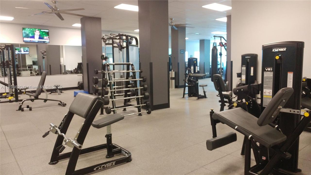 For Rent: $3,300 (2 beds, 1 baths, 793 Square Feet)