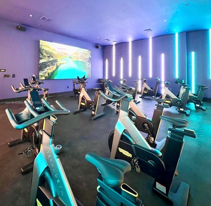 Под контрактом: $3,150 (2 спален, 2 ванн, 1244 Квадратных фут)