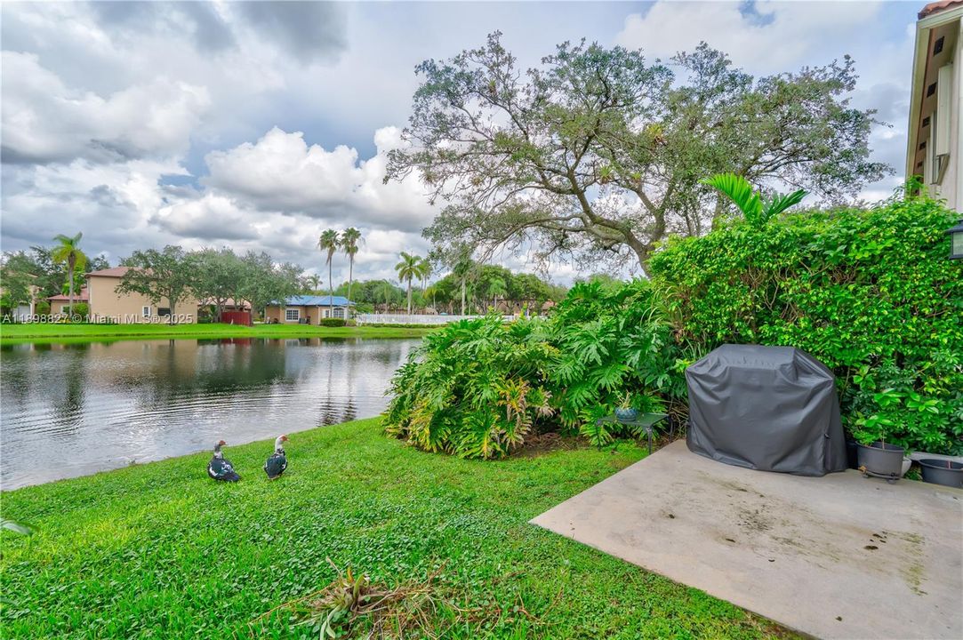 合同活跃: $4,500 (3 贝兹, 2 浴室, 1999 平方英尺)