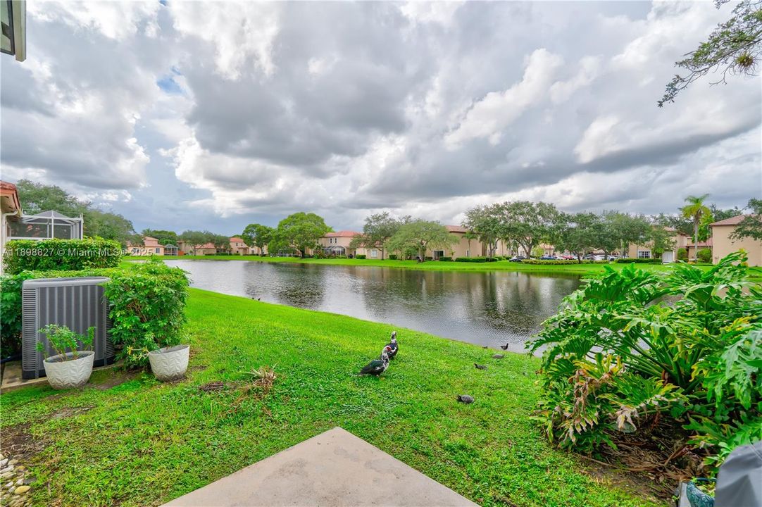 合同活跃: $4,500 (3 贝兹, 2 浴室, 1999 平方英尺)