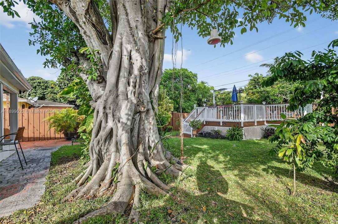 На продажу: $499,000 (4 спален, 1 ванн, 1190 Квадратных фут)