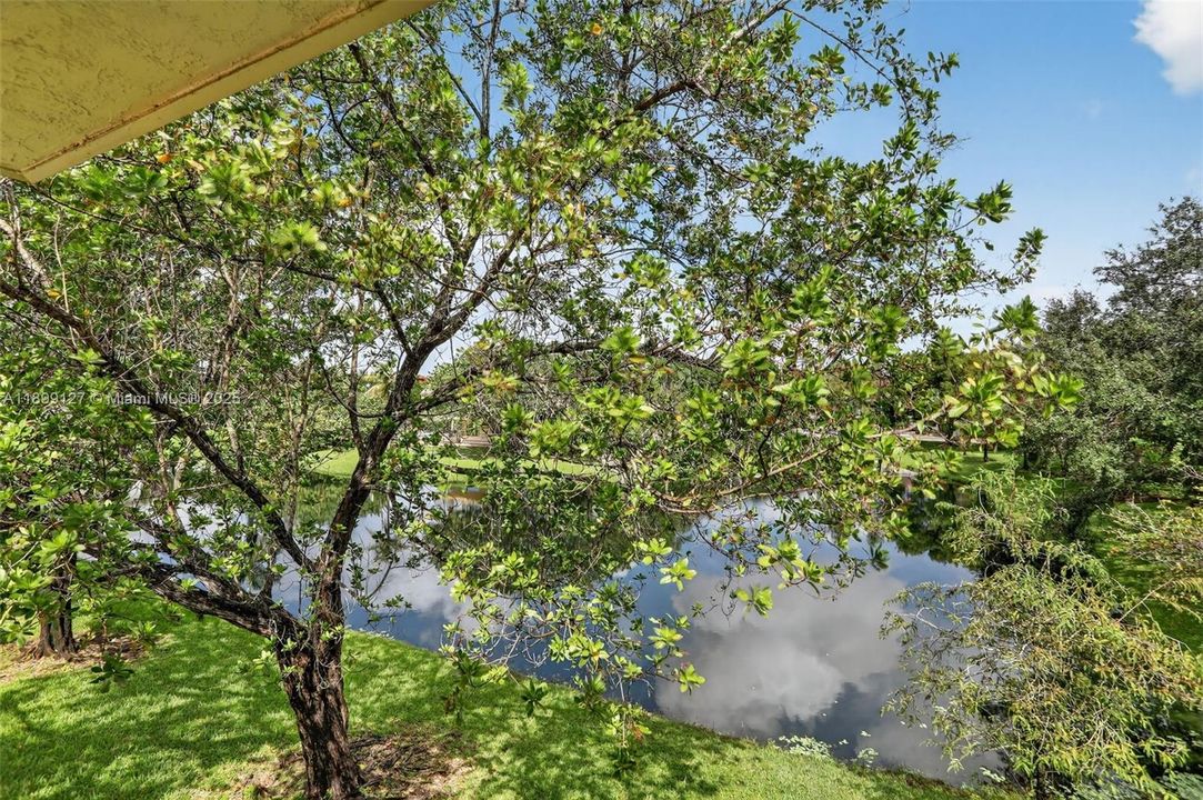 For Sale: $350,000 (3 beds, 2 baths, 1100 Square Feet)