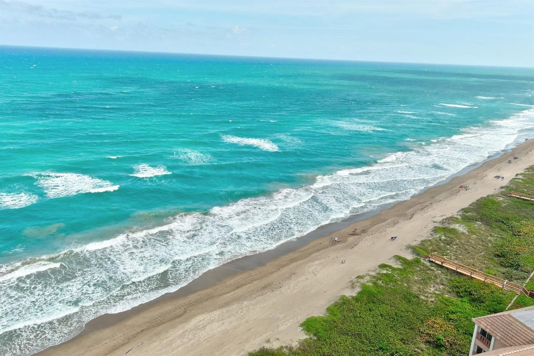 OCEAN
