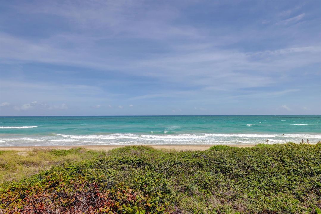 Ocean