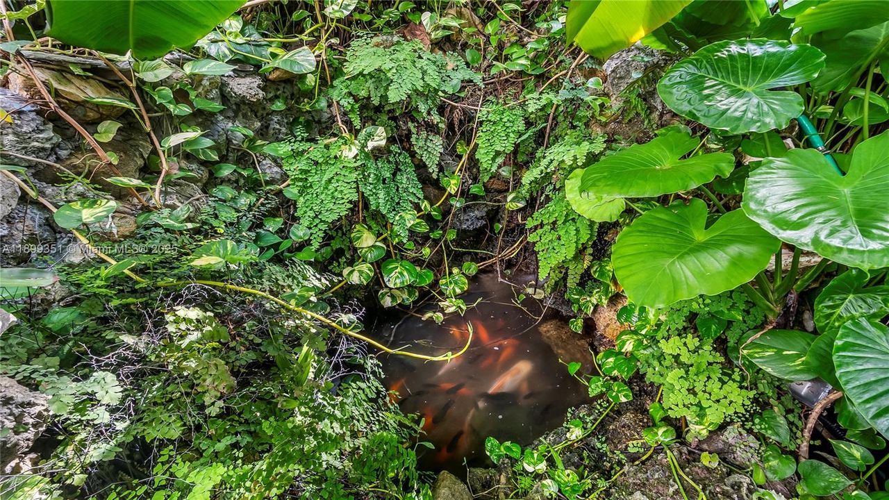 For Sale: $1,799,000 (5 beds, 3 baths, 3115 Square Feet)