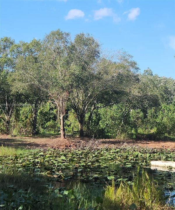 For Sale: $275,000 (0 beds, 0 baths, 0 Square Feet)