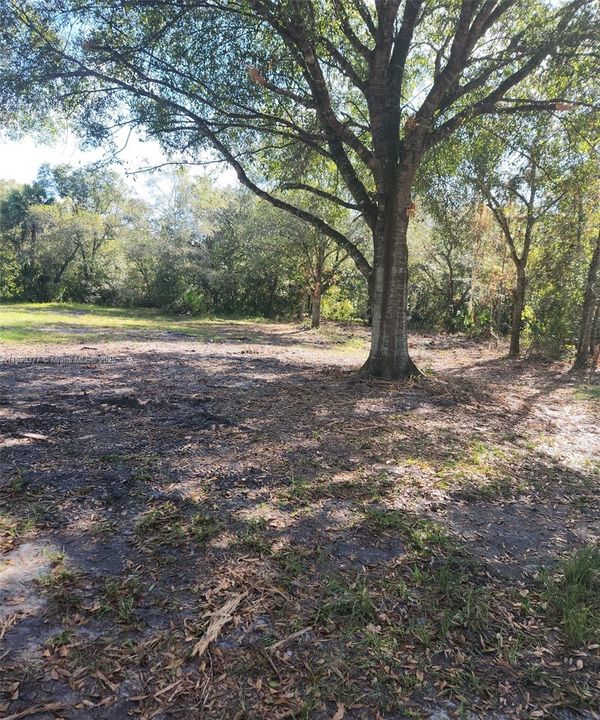 For Sale: $275,000 (0 beds, 0 baths, 0 Square Feet)