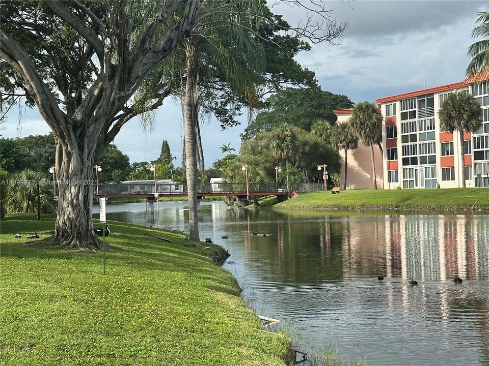 待售: $114,900 (1 贝兹, 1 浴室, 870 平方英尺)