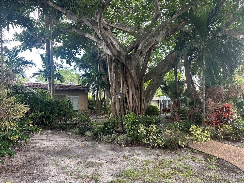 待售: $114,900 (1 贝兹, 1 浴室, 870 平方英尺)