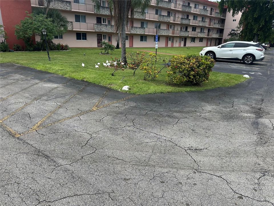 待售: $114,900 (1 贝兹, 1 浴室, 870 平方英尺)