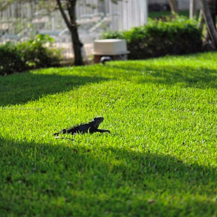 For Sale: $255,000 (2 beds, 2 baths, 1385 Square Feet)