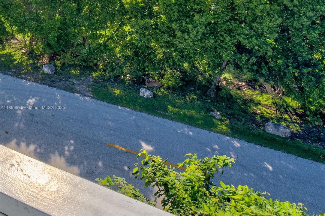 待售: $1,180,000 (3 贝兹, 2 浴室, 1674 平方英尺)