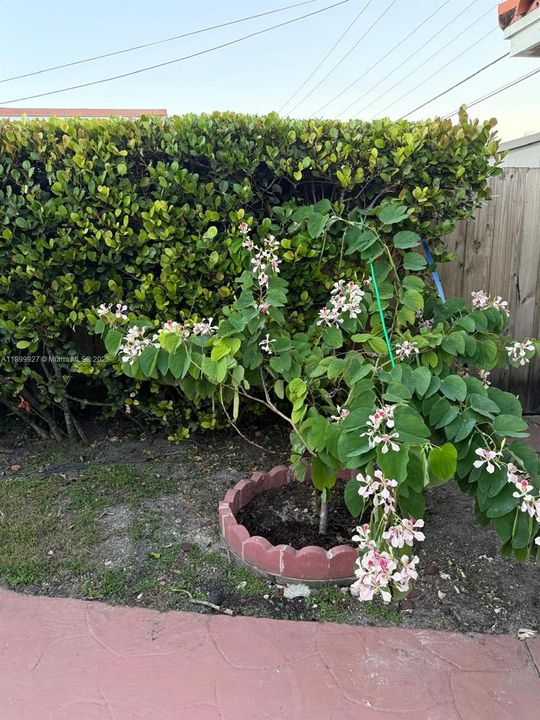 For Sale: $875,000 (4 beds, 2 baths, 1517 Square Feet)