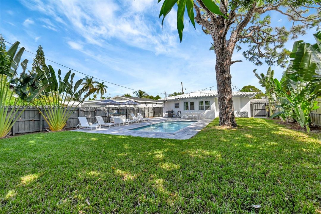 Rear exterior view showcasing the home’s modern lines and seamless connection between indoor and outdoor spaces. Mango Tree