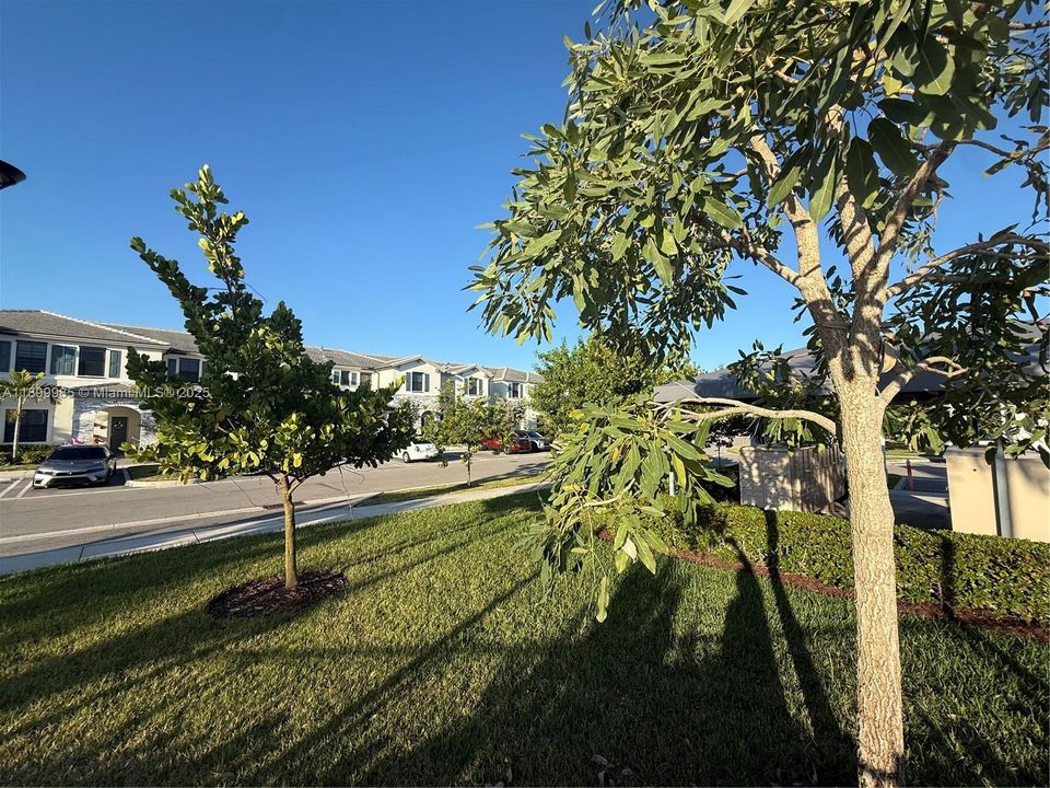 For Sale: $365,000 (3 beds, 2 baths, 1545 Square Feet)