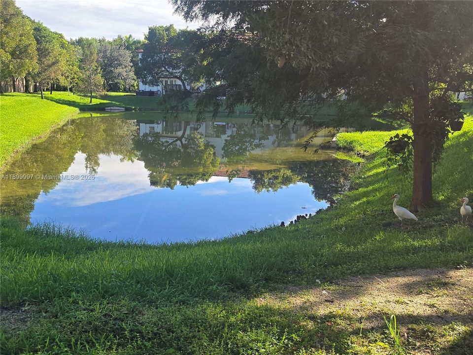 For Sale: $367,000 (4 beds, 3 baths, 1592 Square Feet)