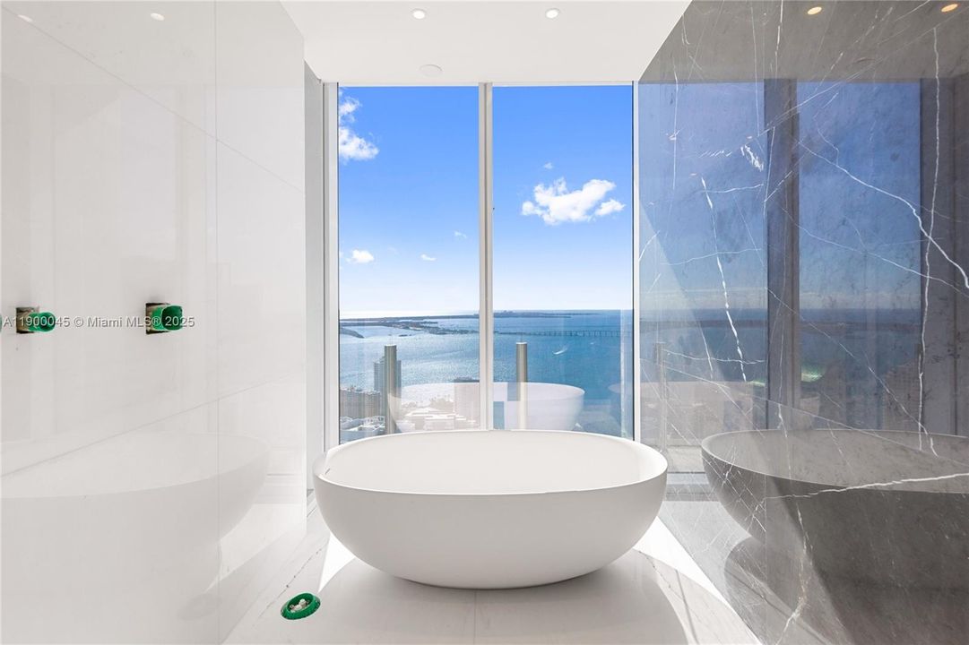 bathroom in the master bedroom