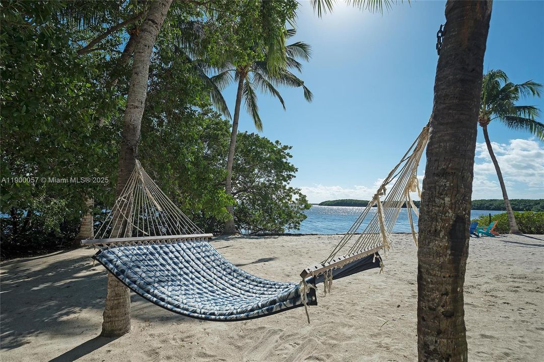 Beach Hammock