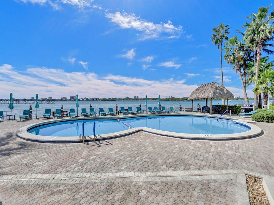 出租: $2,800 (1 贝兹, 1 浴室, 950 平方英尺)